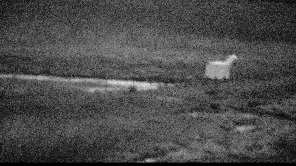 2-22-04-22_20-53-19-33