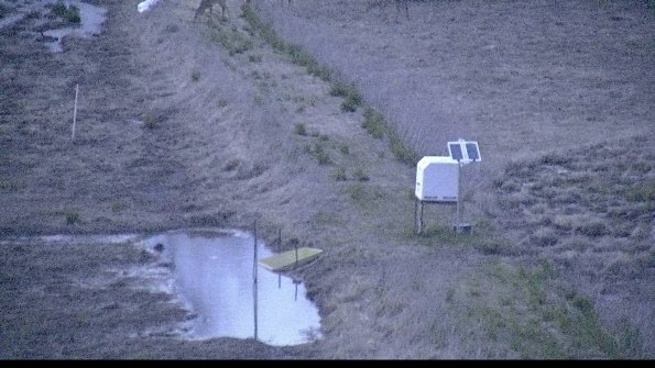 3-22-04-22_20-45-19-34