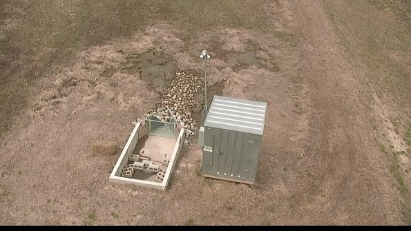 4-22-04-22_12-31-02-95