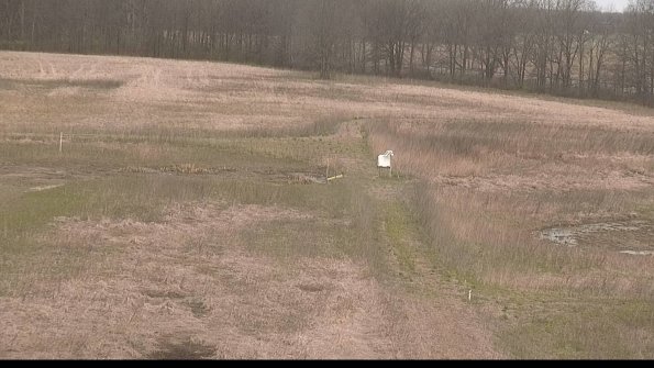 Cell 1 to 2 Monitoring-22-04-22_08-39-25-02