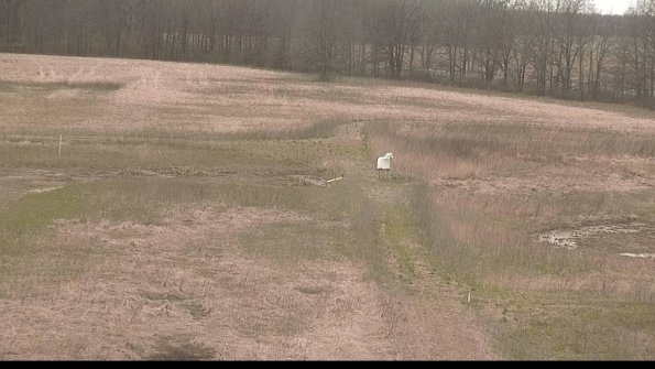 Cell 1 to 2 Monitoring-22-04-22_10-43-54-96