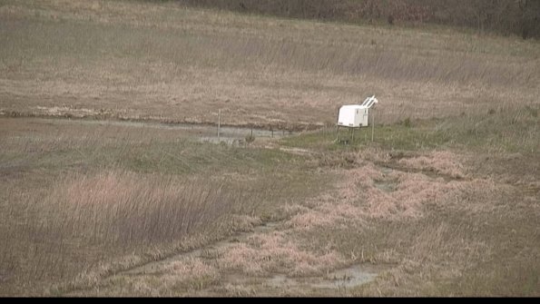 Cell 2 to 3 Monitoring-22-04-22_19-02-31-35