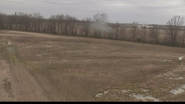 Cell 2-22-04-22_15-41-31-44