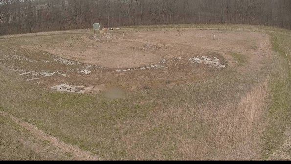 Cell 4-22-04-22_15-49-09-44