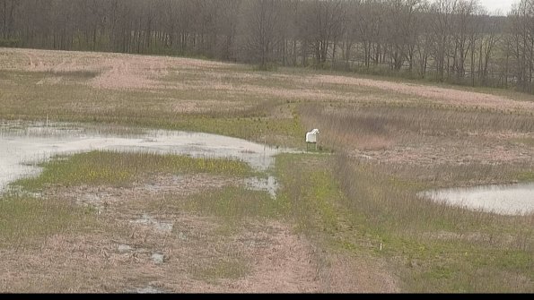 capture-12-22-05-01_14-31-08-26