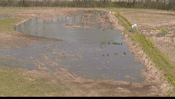 capture-14-22-05-01_11-25-01-51