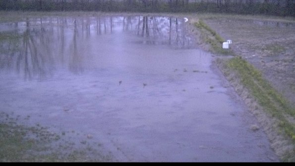 capture-14-22-05-01_20-46-06-42