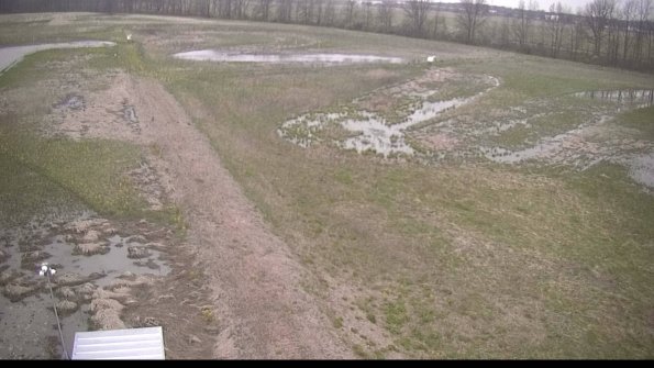 capture-1-22-05-03_07-04-07-09