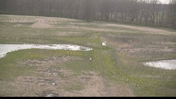 capture-12-22-05-03_08-04-50-94