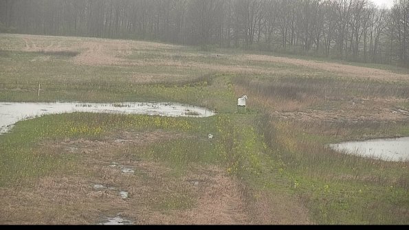 capture-12-22-05-03_09-07-11-53