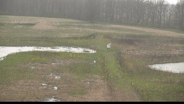 capture-12-22-05-03_10-09-32-29