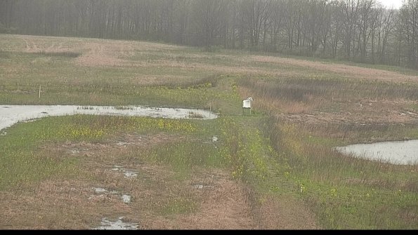 capture-12-22-05-03_12-14-13-46