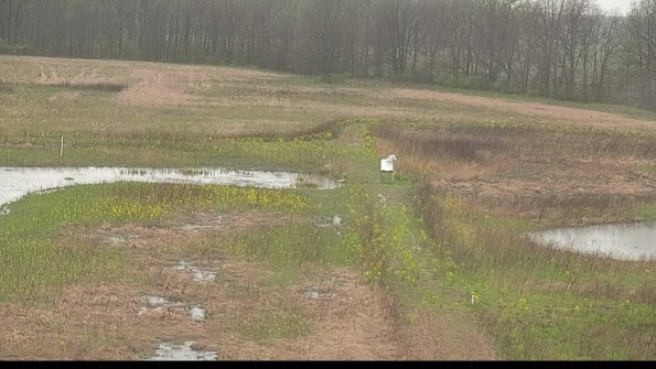 capture-12-22-05-03_13-16-33-51