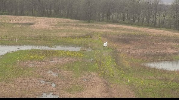 capture-12-22-05-03_14-18-54-50