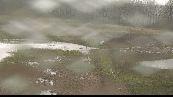 capture-12-22-05-03_17-25-56-71