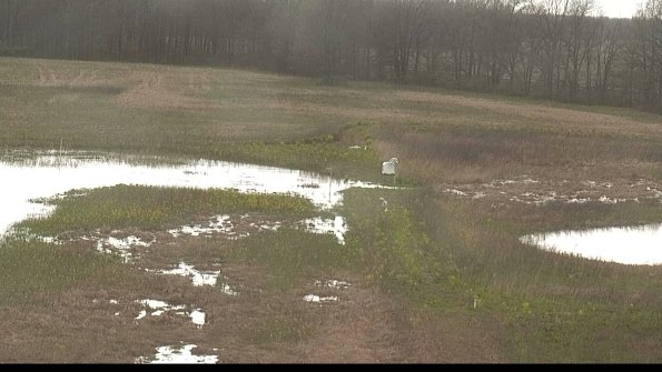 capture-12-22-05-03_18-28-16-30