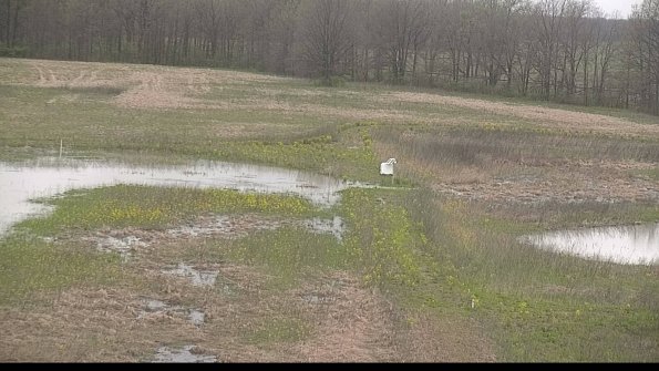 capture-12-22-05-03_19-30-37-52