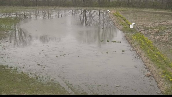 capture-14-22-05-03_08-05-46-43