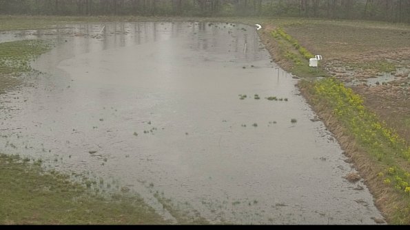 capture-14-22-05-03_09-08-07-42