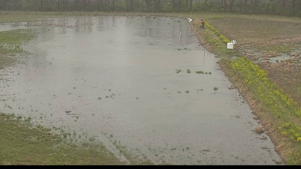 capture-14-22-05-03_10-10-28-38