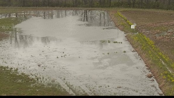 capture-14-22-05-03_18-29-12-42