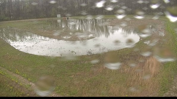 capture-15-22-05-03_11-13-02-61