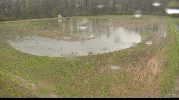 capture-15-22-05-03_13-17-43-42