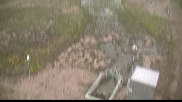 capture-3-22-05-03_08-04-36-32