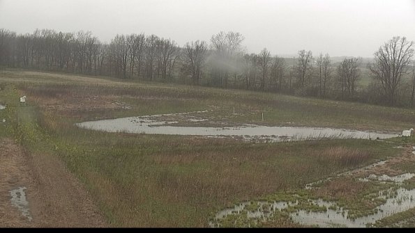 capture-4-22-05-03_12-14-26-41