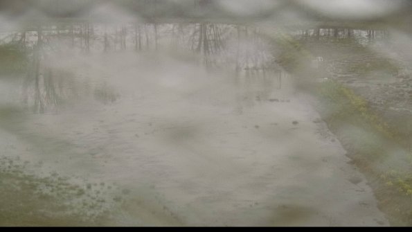 capture-14-22-05-04_07-59-39-24