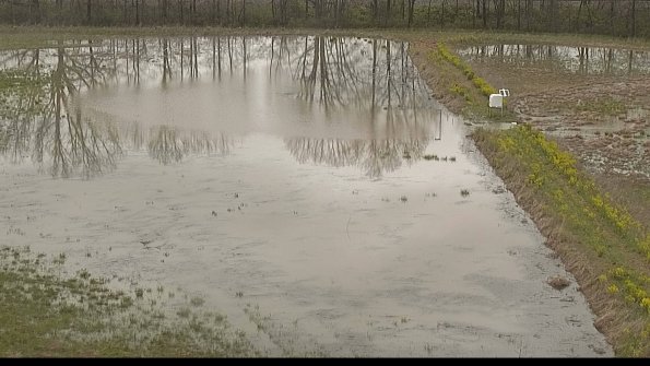 capture-14-22-05-04_11-06-37-39