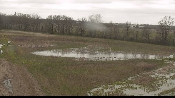 capture-4-22-05-04_13-10-36-43