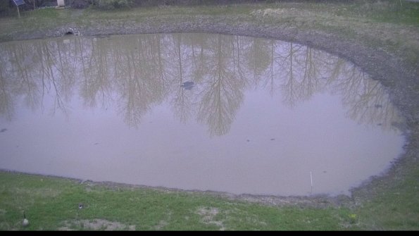 capture-8-22-05-04_20-26-16-25