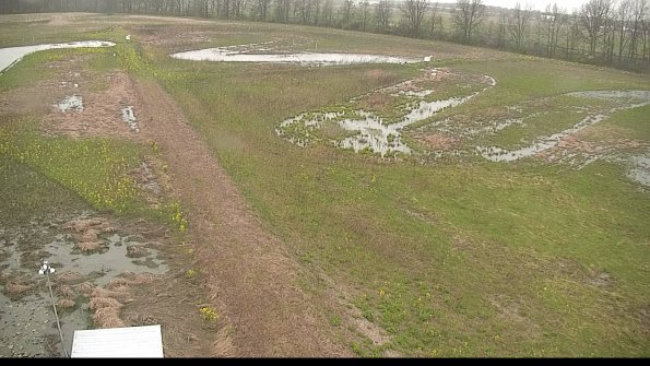 capture-1-22-05-05_16-12-44-98