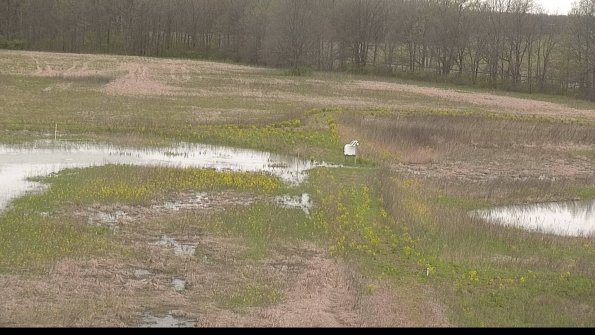 capture-12-22-05-05_08-54-50-18