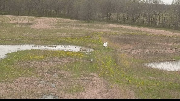 capture-12-22-05-05_12-01-49-44