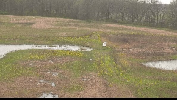 capture-12-22-05-05_17-13-29-28