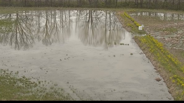 capture-14-22-05-05_08-55-45-67