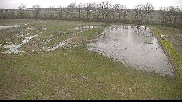 capture-6-22-05-05_19-18-50-56