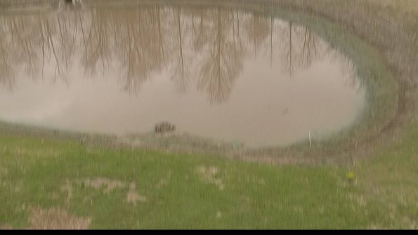 capture-8-22-05-05_08-54-20-35