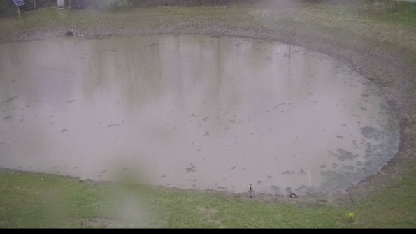 capture-8-22-05-05_20-20-01-25