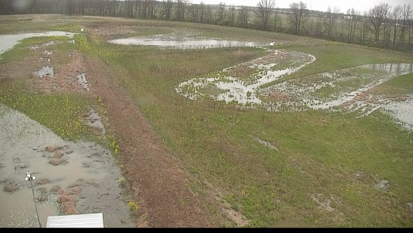 capture-1-22-05-06_18-11-11-13