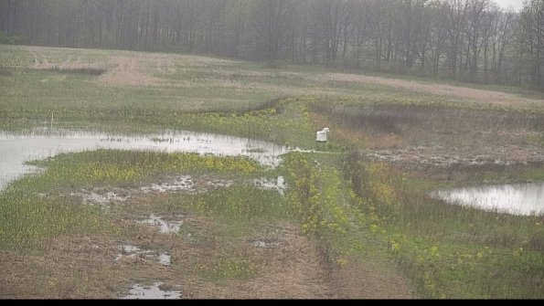 capture-12-22-05-06_07-46-09-47