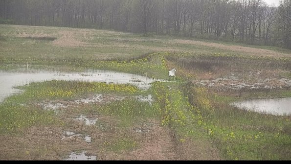 capture-12-22-05-06_08-48-31-25