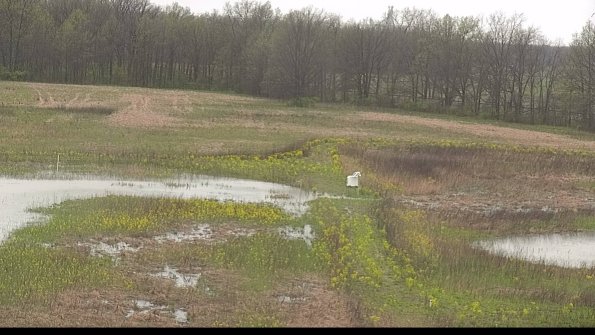 capture-12-22-05-06_10-53-13-23