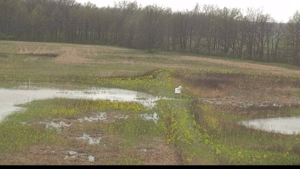 capture-12-22-05-06_11-55-32-41