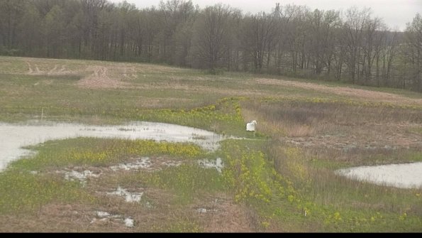 capture-12-22-05-06_12-57-52-97