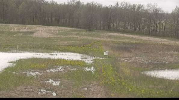 capture-12-22-05-06_15-02-34-21