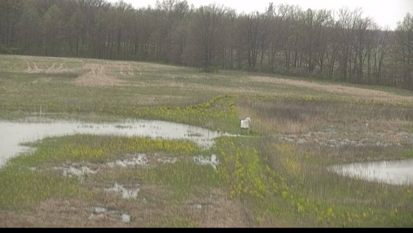 capture-12-22-05-06_16-04-53-39