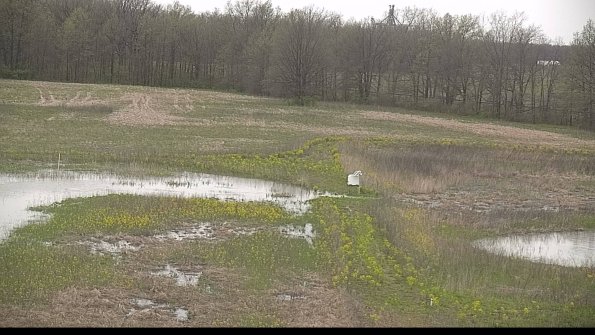 capture-12-22-05-06_19-11-55-25